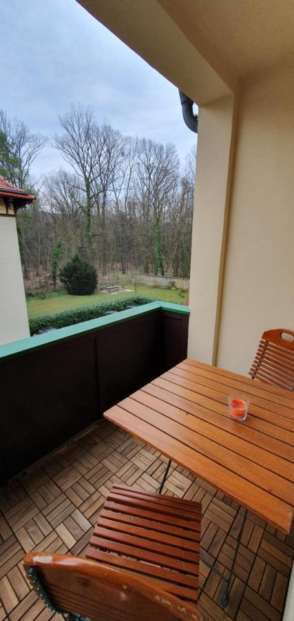 Maisonettewohnung In Elbnaehe Dresden Exterior foto